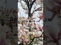 خیلی فا رم  Так приятно Авторские права защищены.