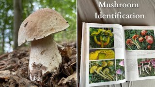 The Best Books for Mushroom Identification. Fungi/ Mycology books