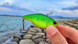 Bass Fishing] At dusk, I went for a quick reel with a buzzer