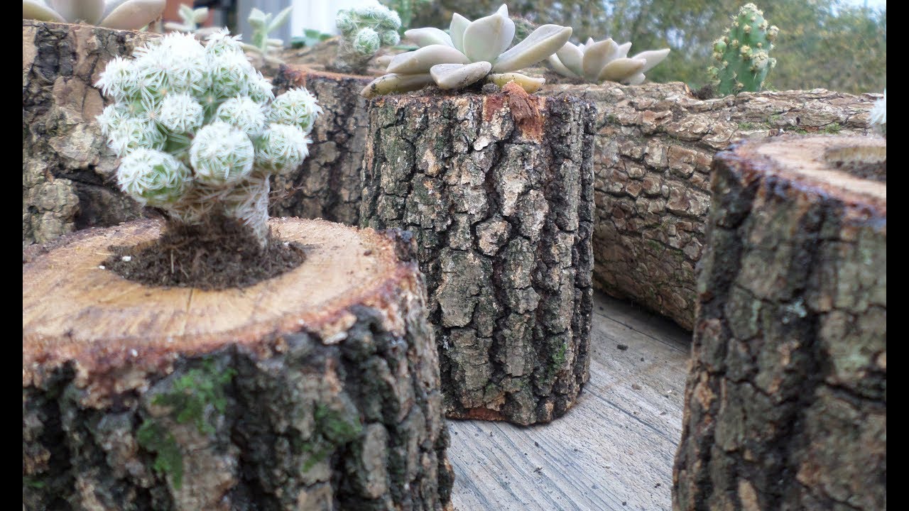 Ağaç Saksı Nasıl Yapılır ?