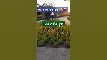 #shortvideo Cairo Egypt #youtubeshorts