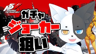 【ペルソナ5X】モルガナきゅん♡会いに行くよ♡ 【Vtuber】