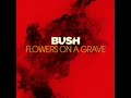 Flowers on a grave - Bush