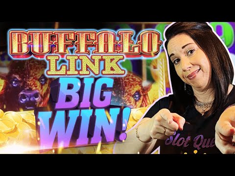 THE NEW BUFFALO LINK and a BIG BUFFALO LINK WIN !!!
