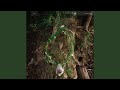 Miniature de la vidéo de la chanson Splendid Isolation