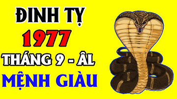 Tháng 9 ÂL Năm 2022 Tuổi Đinh Tỵ 1977  Được Quý Nhân Tương Trợ, Làm Ăn Phất Lên Như Diều Gặp Gió