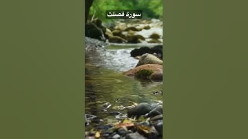 سورة فصلت - وَيَوْمَ يُحْشَرُ أَعْدَاءُ اللَّهِ إِلَى النَّارِ فَهُمْ يُوزَعُونَ (١٩)