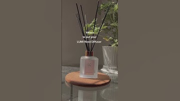 Where to put your LUMI Reed Diffuser?