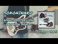 SOKONINARU - pirorhythm stabilizer 〜only your world〜 || COVER + TABS! || How to play
