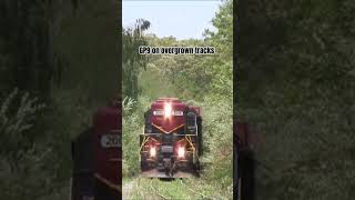 GP9 locomotive on overgrown tracks!