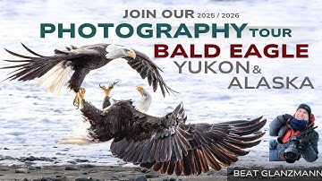 Exclusive Bald Eagle Photography Workshop – 11 Days of Wildlife Photography in Alaska & Canada!