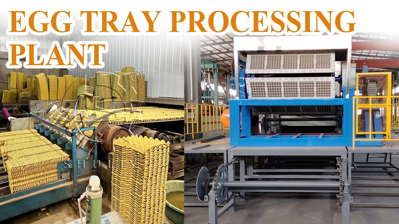Egg Tray Making Machine | Paper Pulp Molding Production Line Demo
