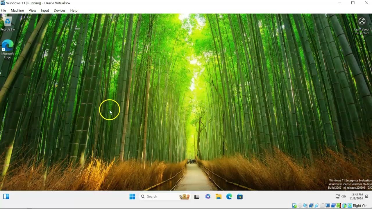 User Accounts with Data Access