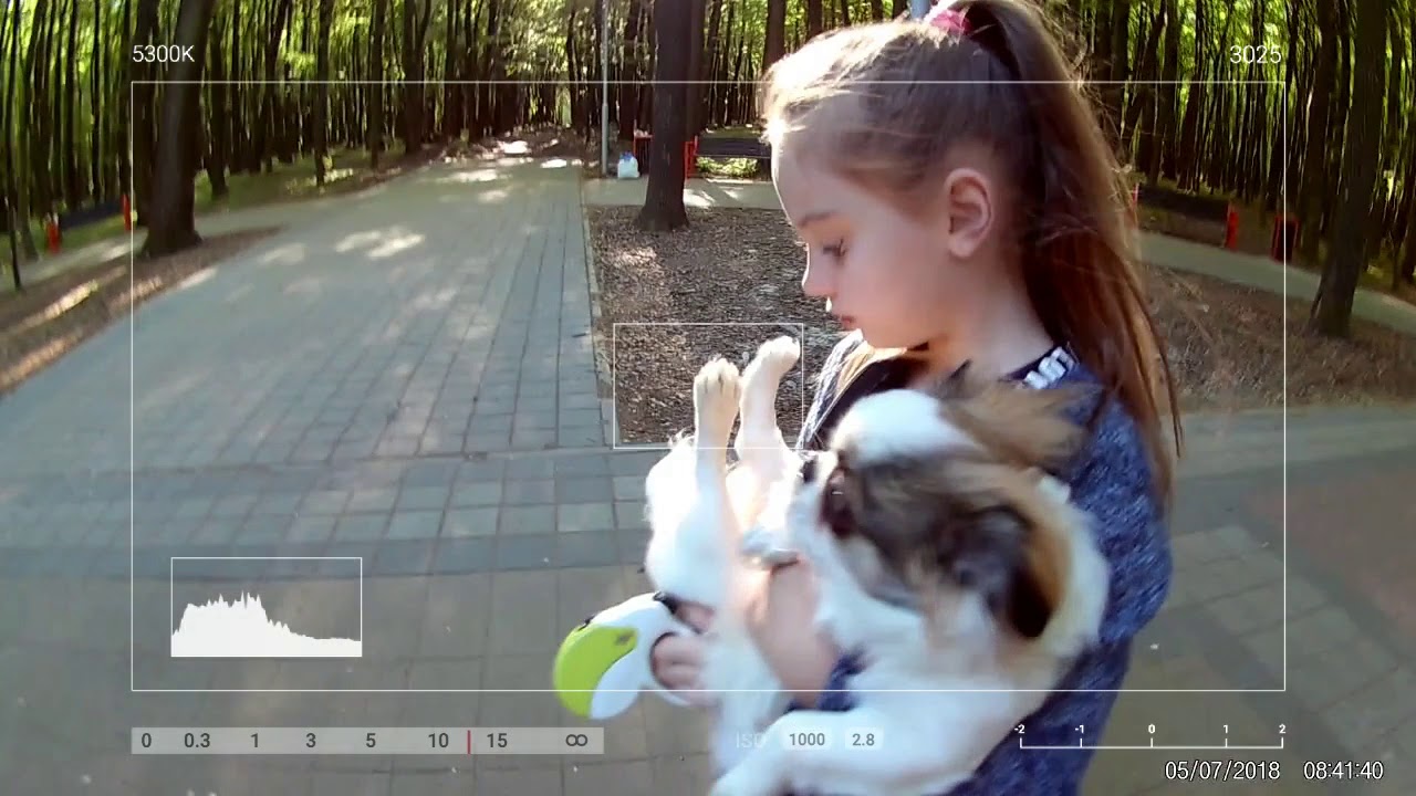 Снова в ШКОЛУ!!! я иду в свою школу. - YouTube