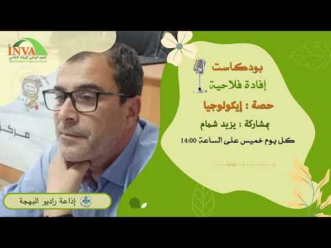 حرائق الغابات قرد المكاك البربري      