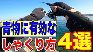 【ショアジギング】初心者さん必見！！青物がよく釣れるしゃくり方4選を解説します！！