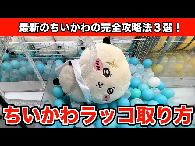 ちいかわ ラッコ 超BIGぬいぐるみ 3体セット まとめ売り ちいかわ