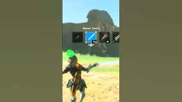 Moonjump 301 | Breath of the Wild Glitches