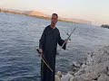 علي شط النيل واجمل موال لشاعر الربابة 