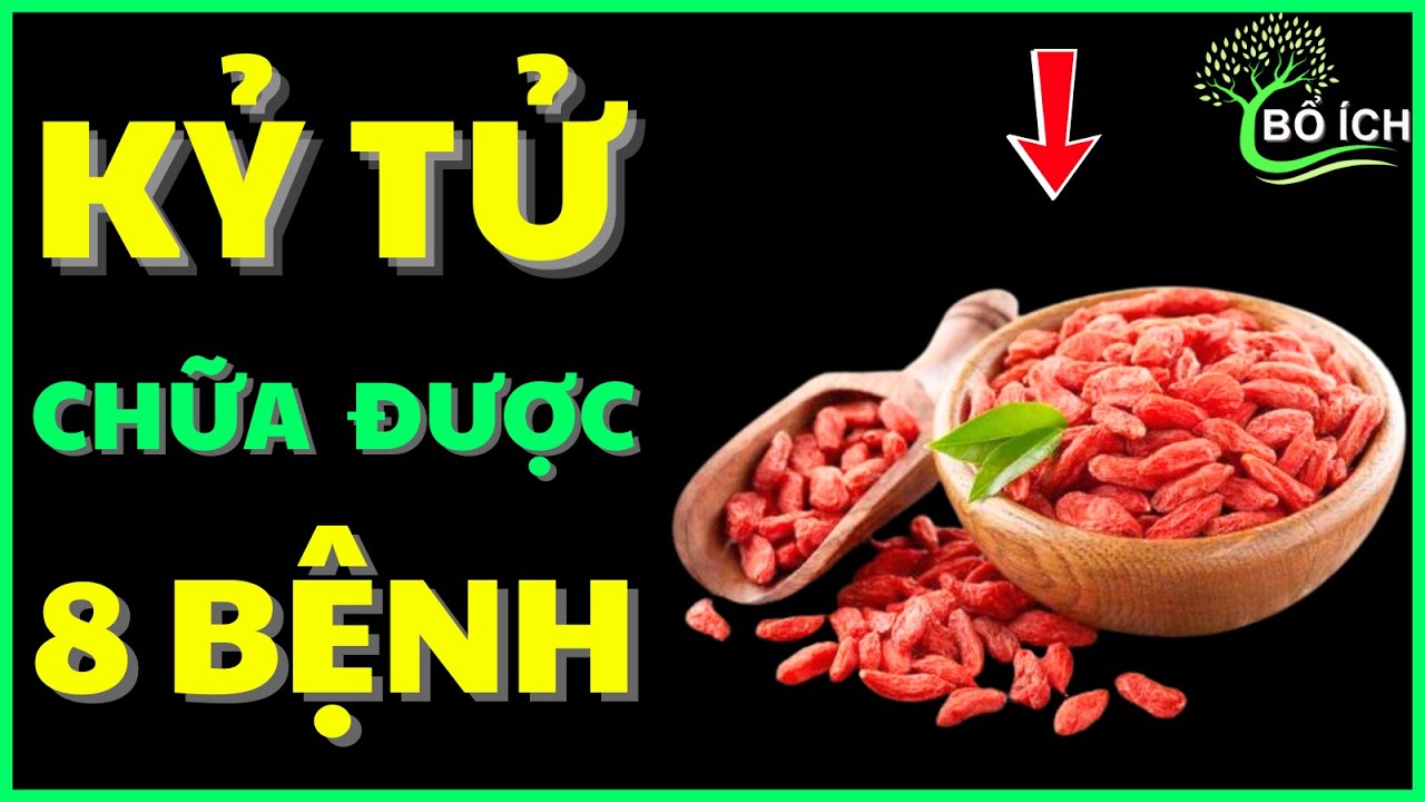 Tin Vui: 8 Lợi Ích Của Kỷ Tử Chữa Được 8 Căn Bệnh Thường Gặp Nhất- kênh sức khoẻ bổ ích