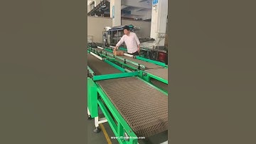 Box direction changing conveyor carton orientation conveying line testing video