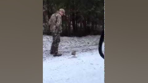 Partridge attacks someone
