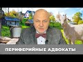 Наша Марка. Периферийные адвокаты