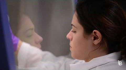 CSULB Engineering: Fostering the Innovators of Tomorrow