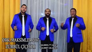 ork.Maksim Sen 2017 HD / Zumbul Ciceyim Resimi