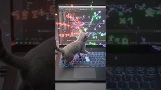 my life is not easy right now 🫠 #coding #programming #javascript #computerscience