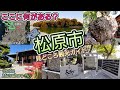 ここに何がある？大阪・松原市／見どころ観光ガイド
