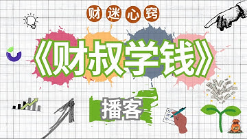 【搜索引擎】AI会摧毁Google的广告帝国吗？老财迷分享：谷歌CEO的“矛与盾”战略深度解析｜【财叔学钱】播客