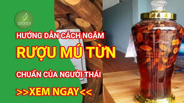 Hướng dẫn cách ngâm rượu mú từn chuẩn của người Thái