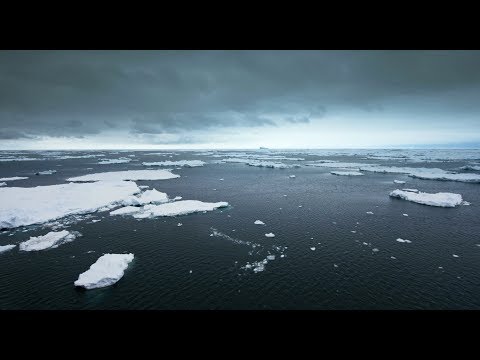 Video: Australiska Forskare Har Sagt Att Livet Trivs I Varma Grottor Under Glaciärerna På Antarktis - Alternativ Vy