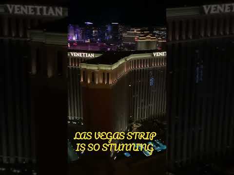 I Paid a Pro Gambler to Make Me Rich