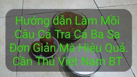 Làm Mồi Câu Cá Tra Cá Ba Sa - Đơn Giản Mà Hiệu Quả - Cần Thủ Việt Nam BT