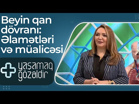 Beyin qan dövranı: Əlamətləri və müalicəsi - Yeganə Rəşidova - 25.05.2022 - Yaşamaq Gözəldir