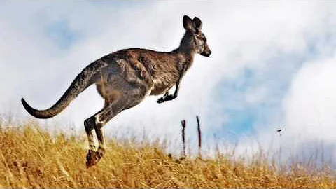 Australia