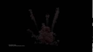 Celebrity Dirt explosion Fume FX simulation study Net Worth