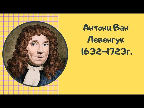 Антони ван Левенгук: биография, вклад в биологию, открытие микроскопа