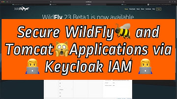 KEYCLOAK 7: How to enable Keycloak SSO login in a WILDFLY/JBOSS and Tomcat Applications?