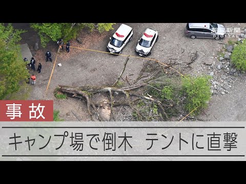 キャンプ場で倒木、テントで寝ていた女性は死亡