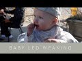 BABY: Baby Led Weaning, What is BLW?, Feeding Baby Solids
