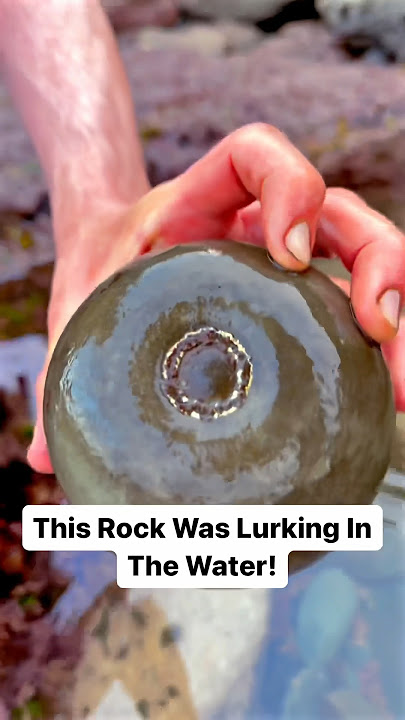 What Will Be Inside?! Finding Fossils On The Beach! 🤯🐊🔨