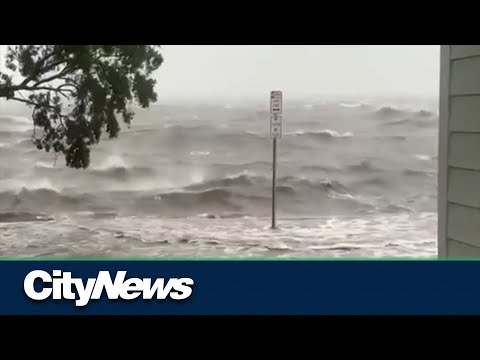 Hurricane Idalia makes landfall as Category 3 hurricane