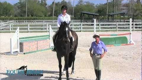 Teach Your Horse Flying Changes