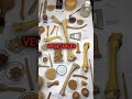 Roman Gladiators Were Actually VEGAN Warriors (Hollywood Lied to You!)