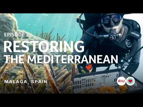 Witness of Proudly Committed: Mediterranean marine restoration - Chapter 2