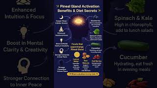 Pineal Gland Activation Benefits & Diets to Supercharge Your Mind #shorts #shortsfeed #trending