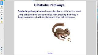 Bio Energy Processing Metabolism and ATP Part 1